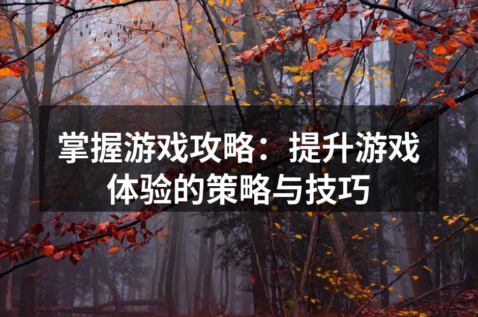 掌握游戏策略,提升胜率