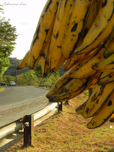 Cuál es la principal actividad económica de Costa Rica